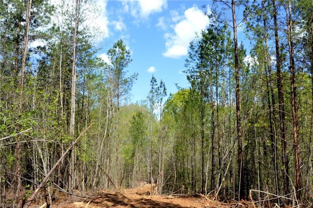 230 Dibrell Rd, Pelham, NC 27311