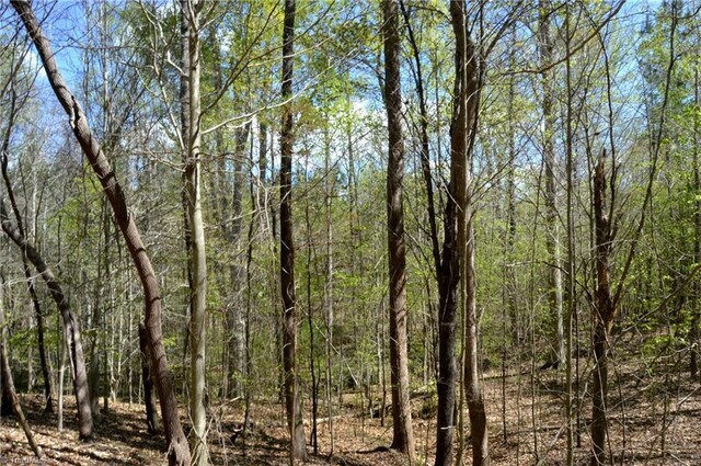 230 Dibrell Rd, Pelham, NC 27311