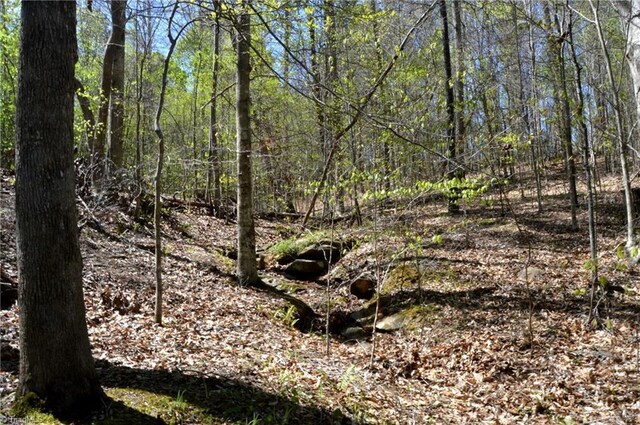 230 Dibrell Rd, Pelham, NC 27311