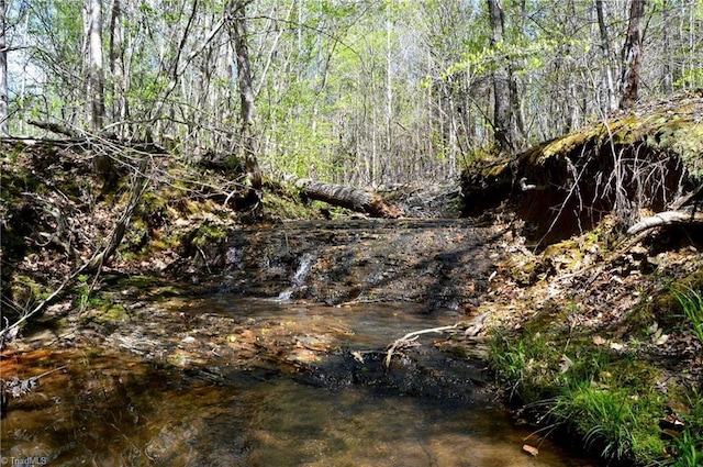 230 Dibrell Rd, Pelham, NC 27311
