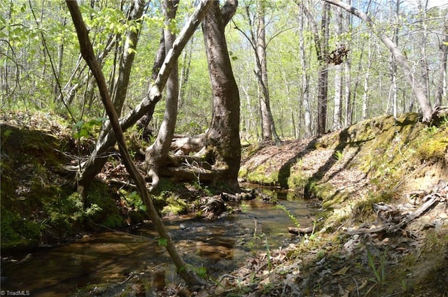 230 Dibrell Rd, Pelham, NC 27311