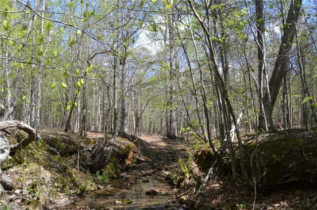 230 Dibrell Rd, Pelham, NC 27311