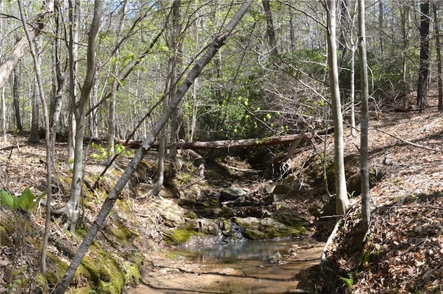 230 Dibrell Rd, Pelham, NC 27311