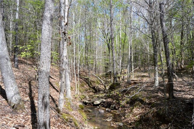 230 Dibrell Rd, Pelham, NC 27311