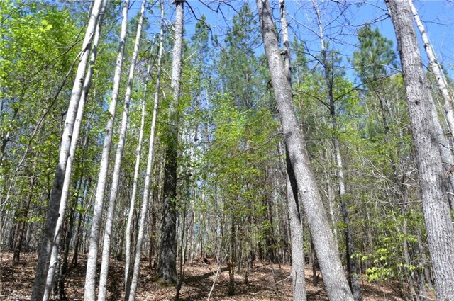 230 Dibrell Rd, Pelham, NC 27311