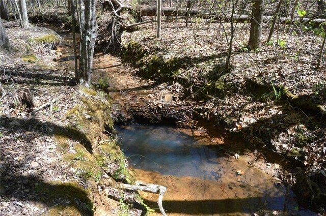 230 Dibrell Rd, Pelham, NC 27311