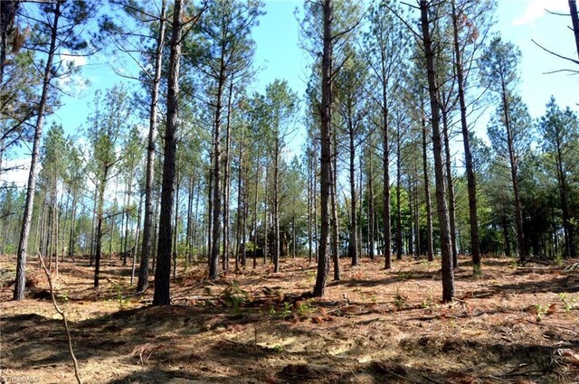 230 Dibrell Rd, Pelham, NC 27311