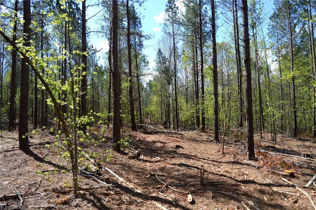 230 Dibrell Rd, Pelham, NC 27311