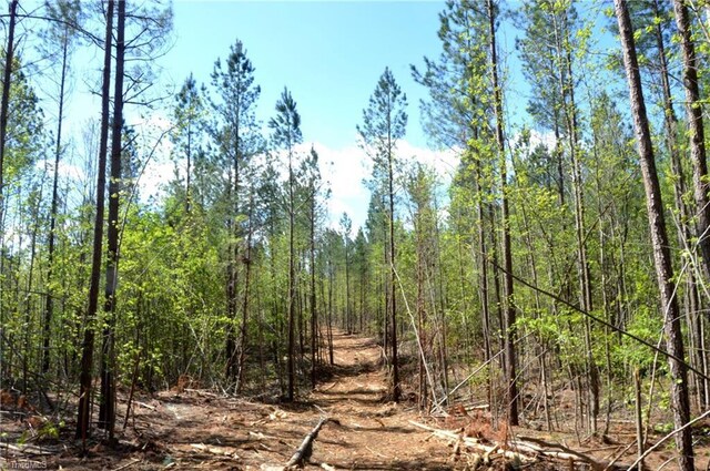230 Dibrell Rd, Pelham, NC 27311