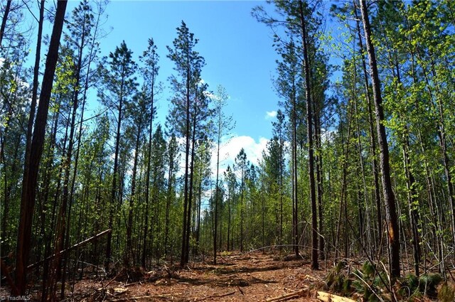 230 Dibrell Rd, Pelham, NC 27311