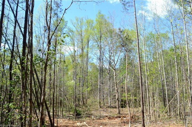 230 Dibrell Rd, Pelham, NC 27311