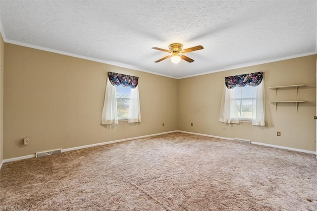 spare room featuring plenty of natural light, carpet, and a textured ceiling