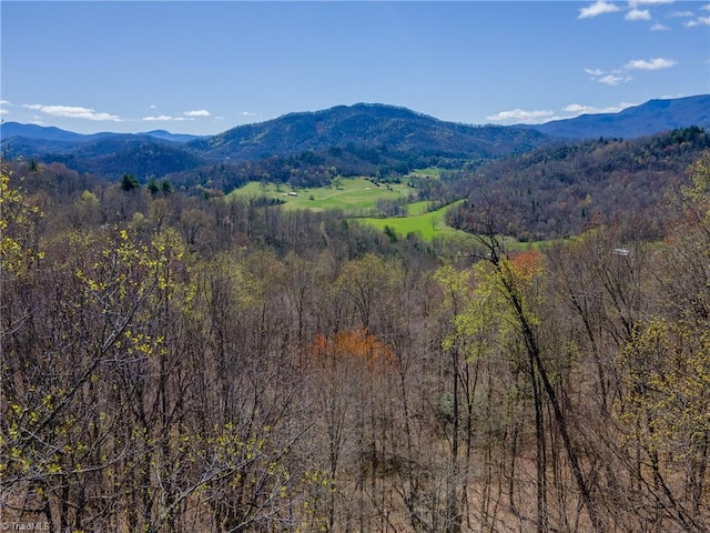 TBD Wayah Rd, Franklin NC, 28734 land for sale