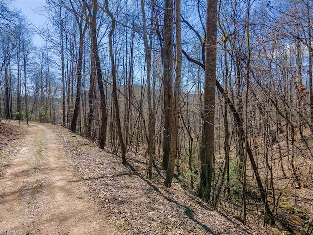 Listing photo 2 for TBD Wayah Rd, Franklin NC 28734