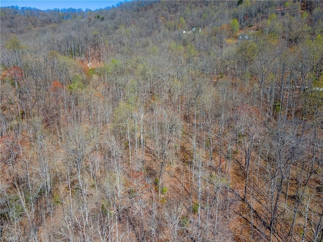 Listing photo 3 for TBD Wayah Rd, Franklin NC 28734