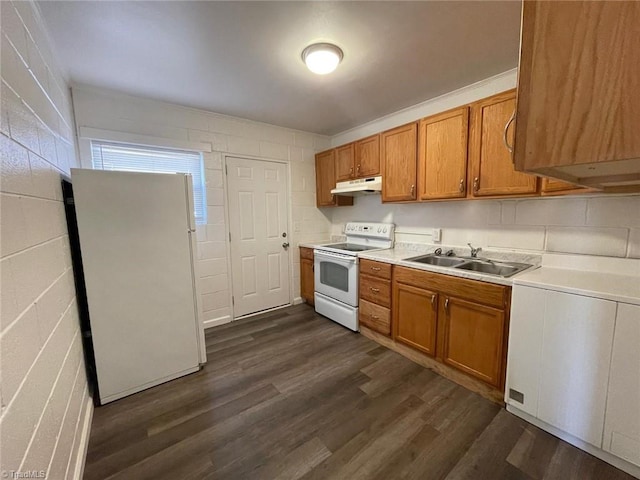 kitchen with a sink, light countertops, under cabinet range hood, white appliances, and dark wood-type flooring