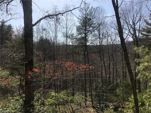 Listing photo 2 for LOT7 Valley View Dr, Purlear NC 28665