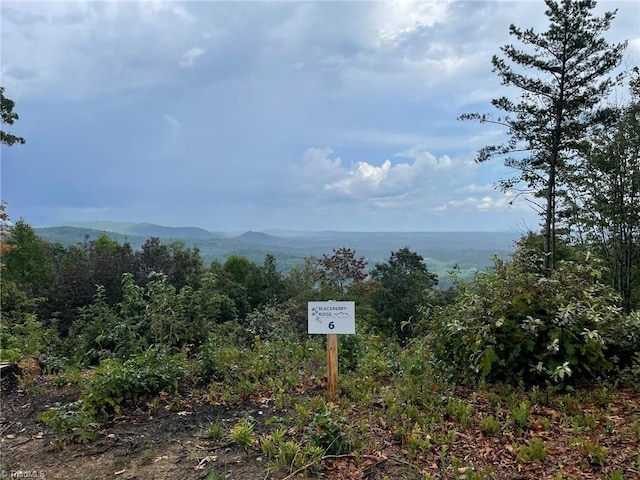 TRACT6BLACKBERRYRIDGE Cabin Creek Rd, Hays, NC 28635
