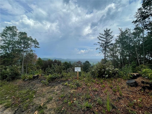 Listing photo 2 for TRACT6BLACKBERRYRIDGE Cabin Creek Rd, Hays NC 28635