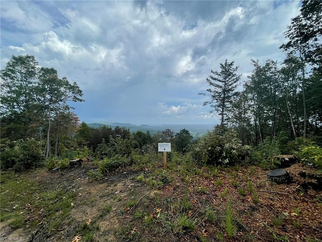 TRACT6BLACKBERRYRIDGE Cabin Creek Rd, Hays, NC 28635