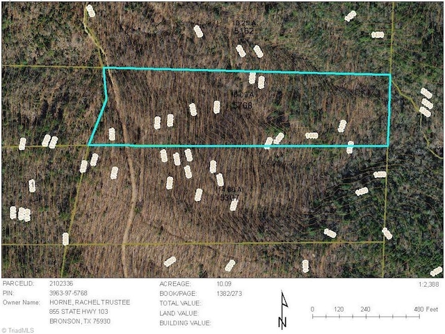 TRACT6BLACKBERRYRIDGE Cabin Creek Rd, Hays, NC 28635