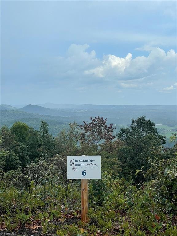 TRACT6BLACKBERRYRIDGE Cabin Creek Rd, Hays, NC 28635
