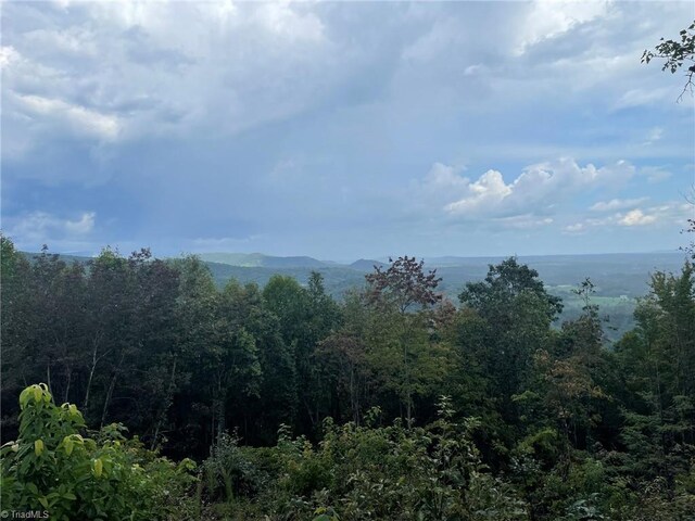 TRACT6BLACKBERRYRIDGE Cabin Creek Rd, Hays, NC 28635