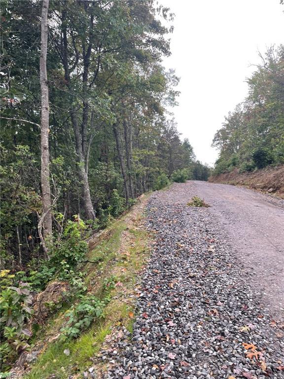 TRACT6BLACKBERRYRIDGE Cabin Creek Rd, Hays, NC 28635
