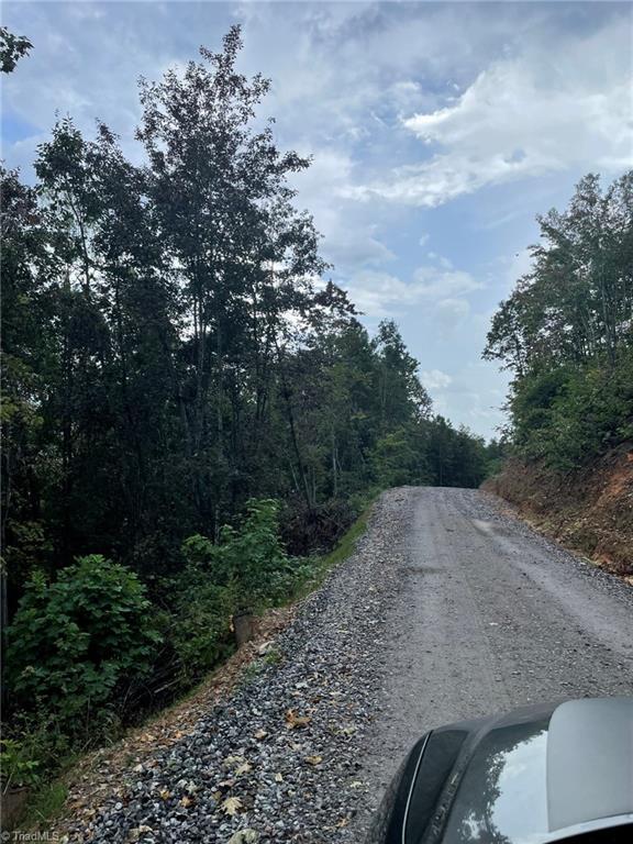TRACT6BLACKBERRYRIDGE Cabin Creek Rd, Hays, NC 28635