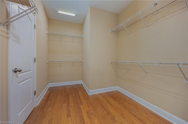 spacious closet with hardwood / wood-style floors