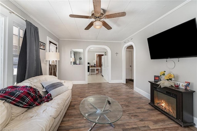 living room featuring crown molding, ceiling fan, and wood-type flooring