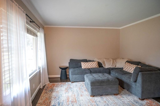 living room featuring hardwood / wood-style floors, a wealth of natural light, and ornamental molding