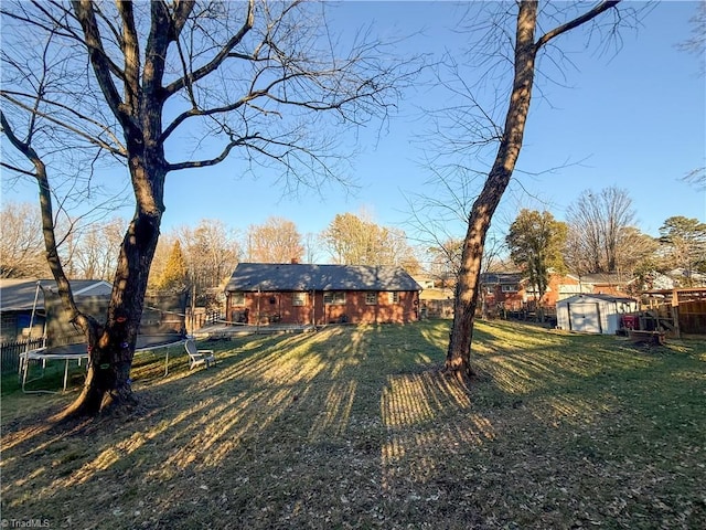 view of yard featuring a trampoline and a storage unit