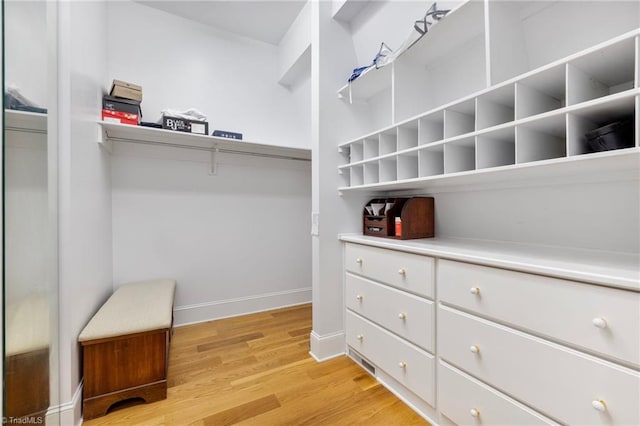 spacious closet with light hardwood / wood-style flooring