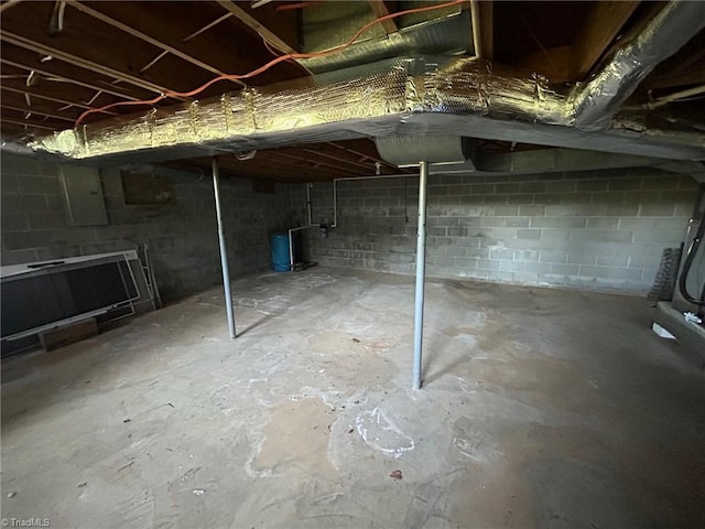 unfinished basement featuring electric panel