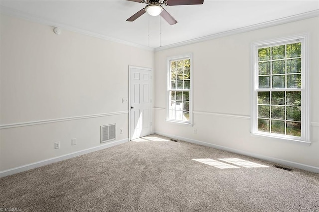 unfurnished room with crown molding, carpet flooring, a wealth of natural light, and ceiling fan