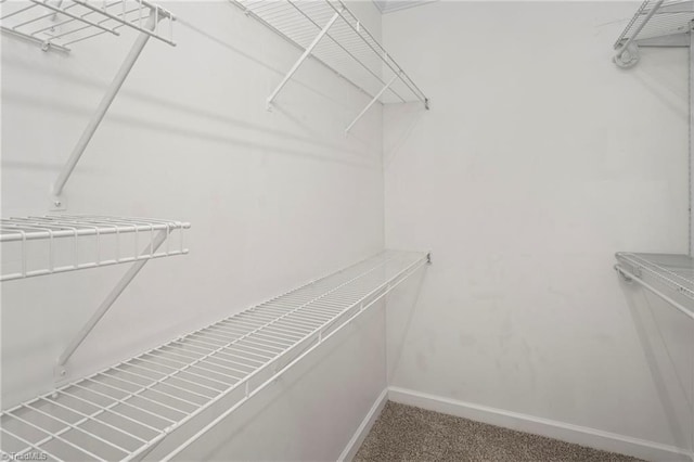 walk in closet featuring carpet