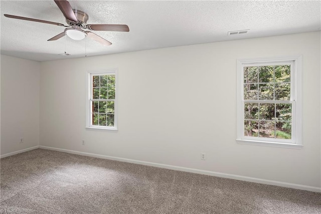 empty room with a textured ceiling, a wealth of natural light, and carpet floors