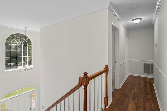 corridor featuring ornamental molding, dark wood-type flooring, and an inviting chandelier