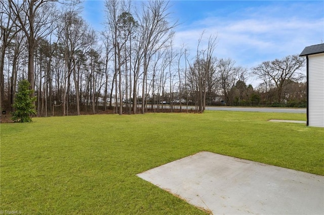 view of yard featuring a patio