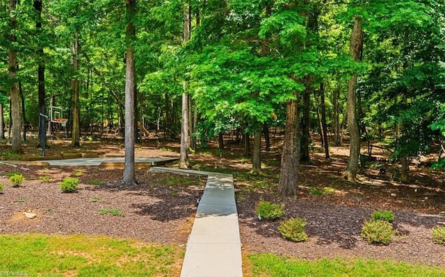 2550 Mountain Lake Rd, Asheboro, NC 27205 - view of community