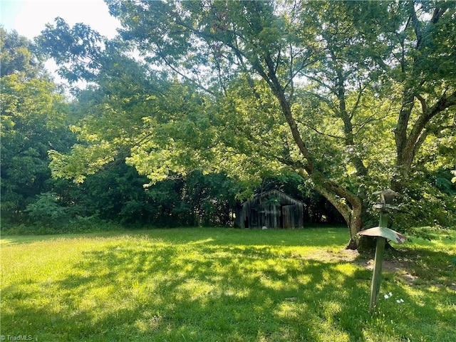 1107 Walnut St, Reidsville, NC 27320 - view of grassy yard with a wooded view