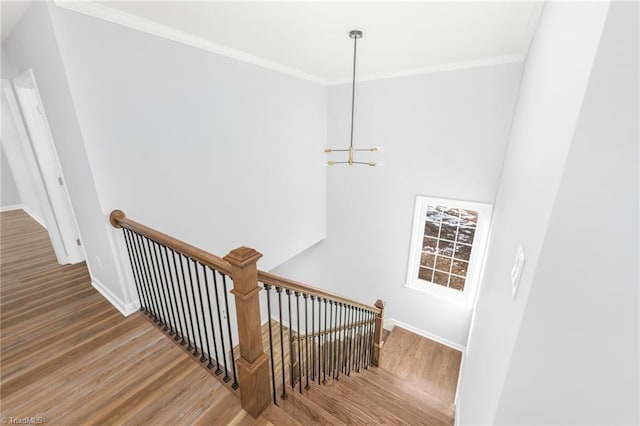 stairs with a notable chandelier, ornamental molding, and wood-type flooring