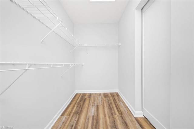 walk in closet featuring wood-type flooring