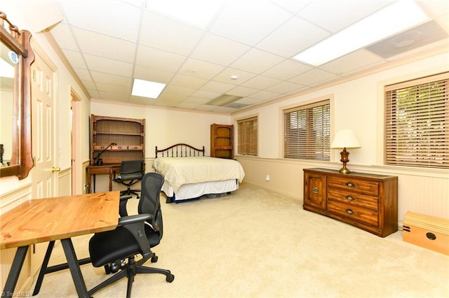 bedroom featuring carpet flooring and a paneled ceiling