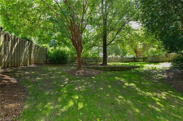 view of yard featuring a fenced backyard