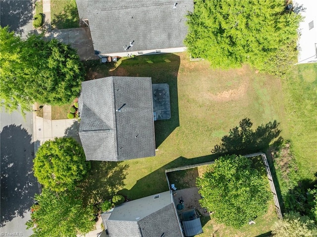 bird's eye view