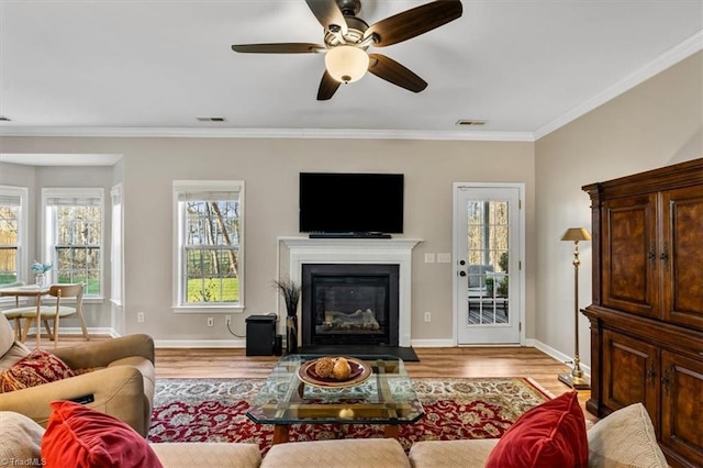 living area featuring a ceiling fan, wood finished floors, visible vents, baseboards, and crown molding