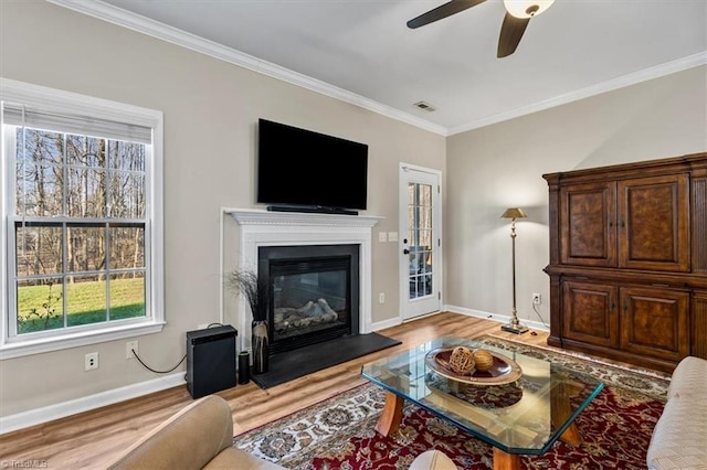 living area with wood finished floors, baseboards, visible vents, ornamental molding, and ceiling fan