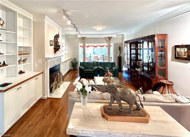 living room featuring crown molding, dark wood-type flooring, and track lighting